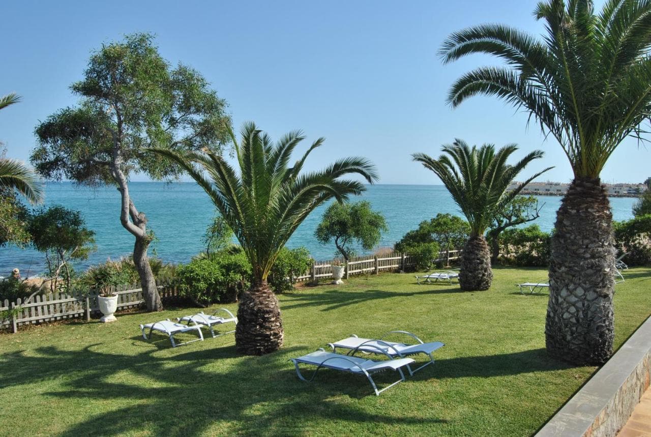 Hamacas Premium