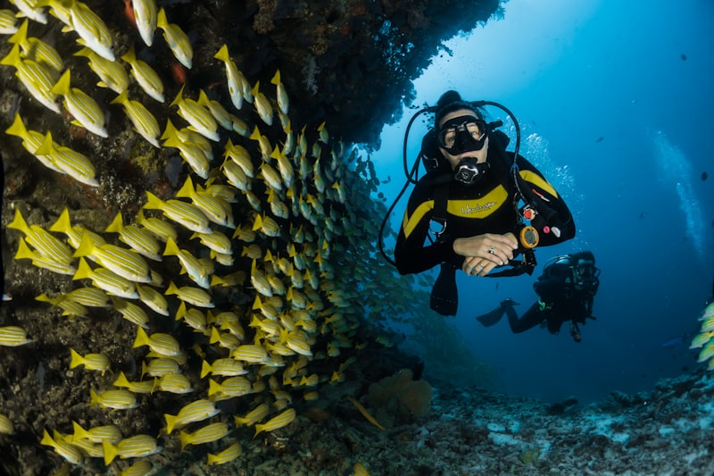 Deportes Acuaticos en Alcossebre: Guía Completa